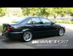 Whips - 1 of 1.jpeg